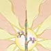 Luna Sol Tarot