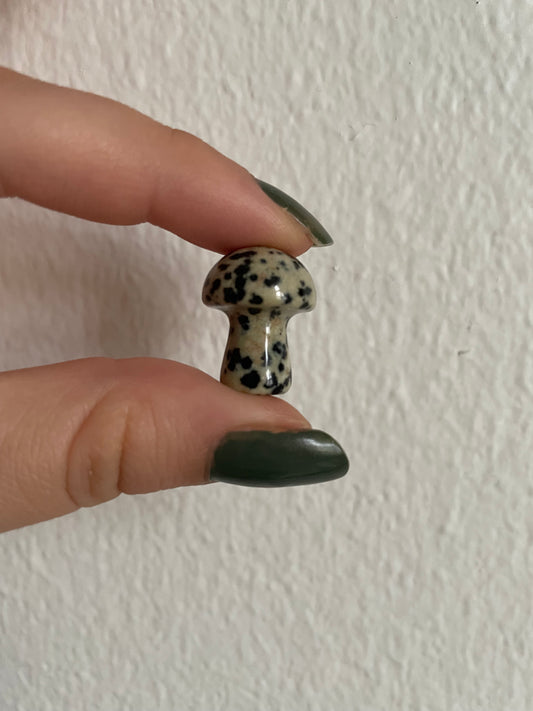 Dalmatian Jasper Mini Mushroom